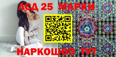 СК Новодвинск