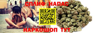 СК Новокубанск