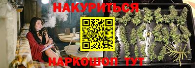 СК Новокубанск