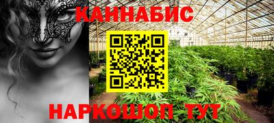 СК Новодвинск