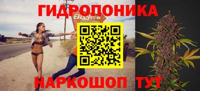 хмурый Новозыбков
