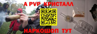 СК Новодвинск