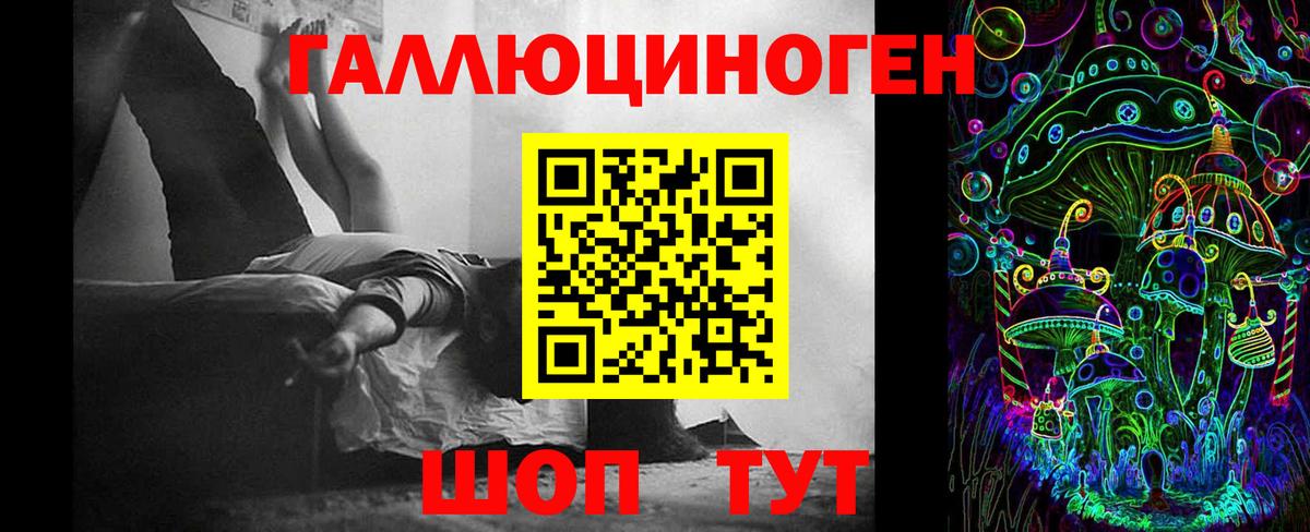 Пугачёв  Псилоцибиновые грибы мухоморы  Вход с VPN 